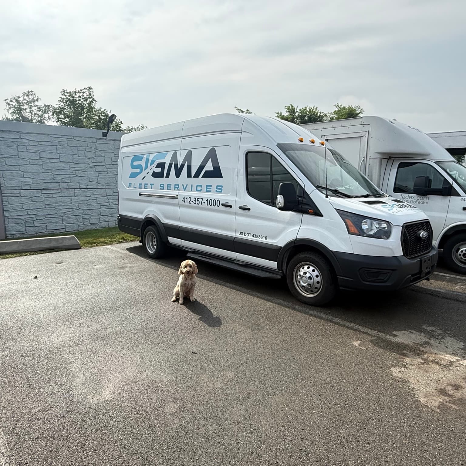 Sigma Fleet Services branded service vehicle